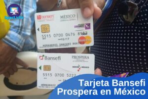 Tarjeta Bansefi port life